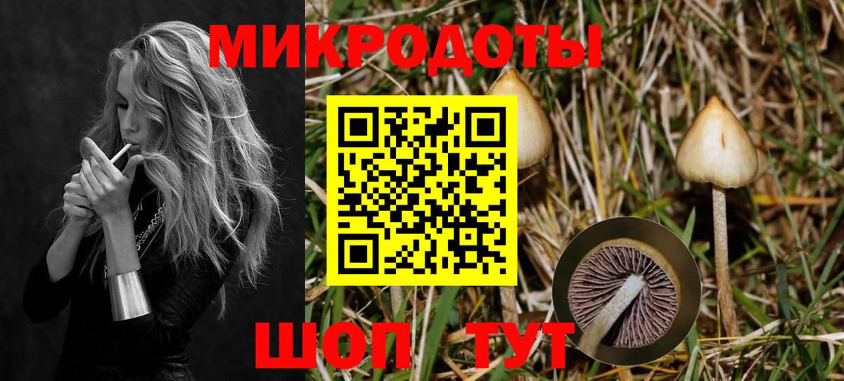 Псилоцибиновые грибы Magic Shrooms Вязники